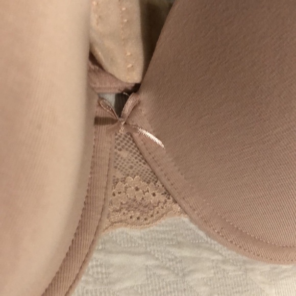 Haven well within bra - Picture 2 of 5